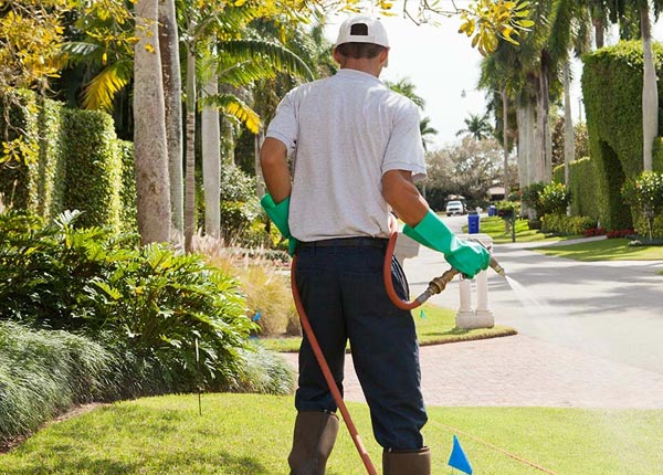 About Aurora OH Pest Control